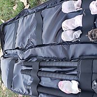 Just what I needed Just what I needed