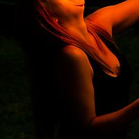 Fire Sticks Fire Sticks